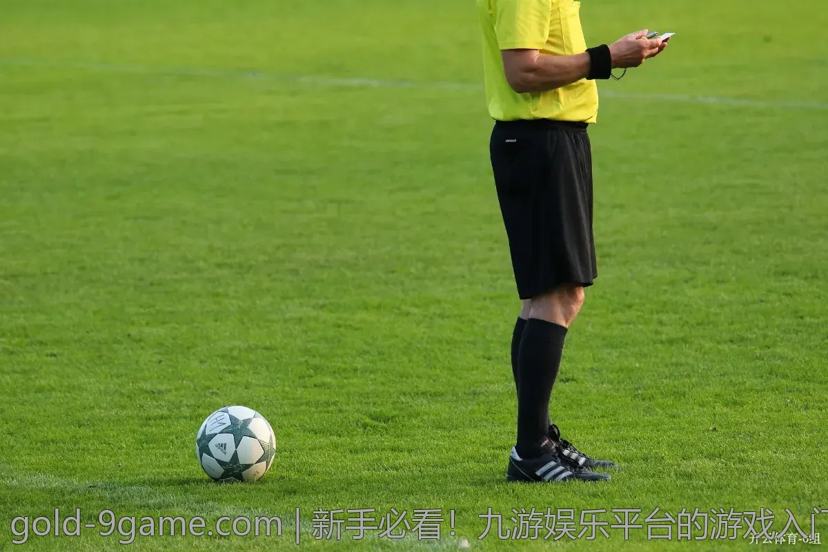 新手必看！九游娱乐平台的游戏入门经验分享